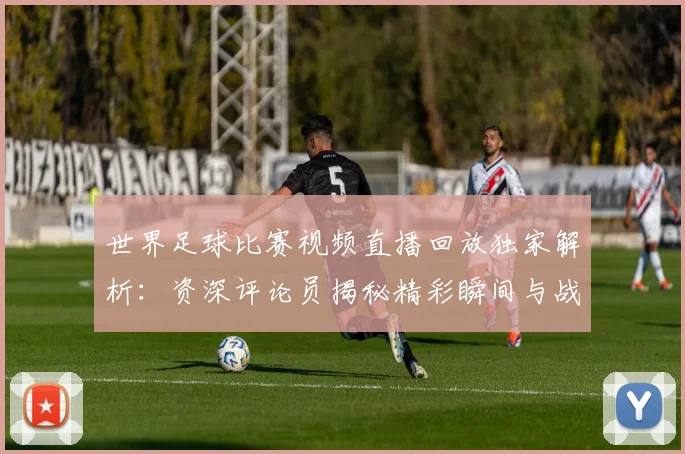 世界足球比赛视频直播回放独家解析：资深评论员揭秘精彩瞬间与战术内幕